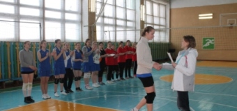 Волейбол. Районные соревнования