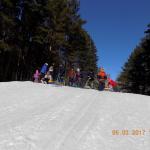 image (1)