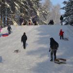 image (11)