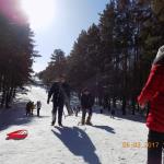 image (5)