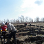 SAM_0383
